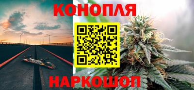 дмт Камышлов