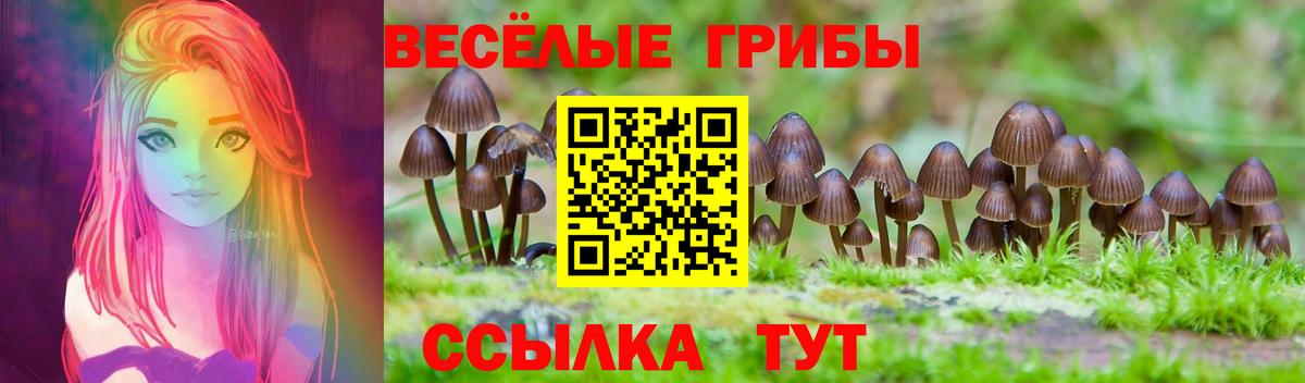 Псилоцибиновые грибы Psilocybine cubensis  Вход с VPN  Псилоцибиновые грибы Magic Shrooms  Холмск 